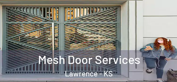  Mesh Door Services Lawrence - KS